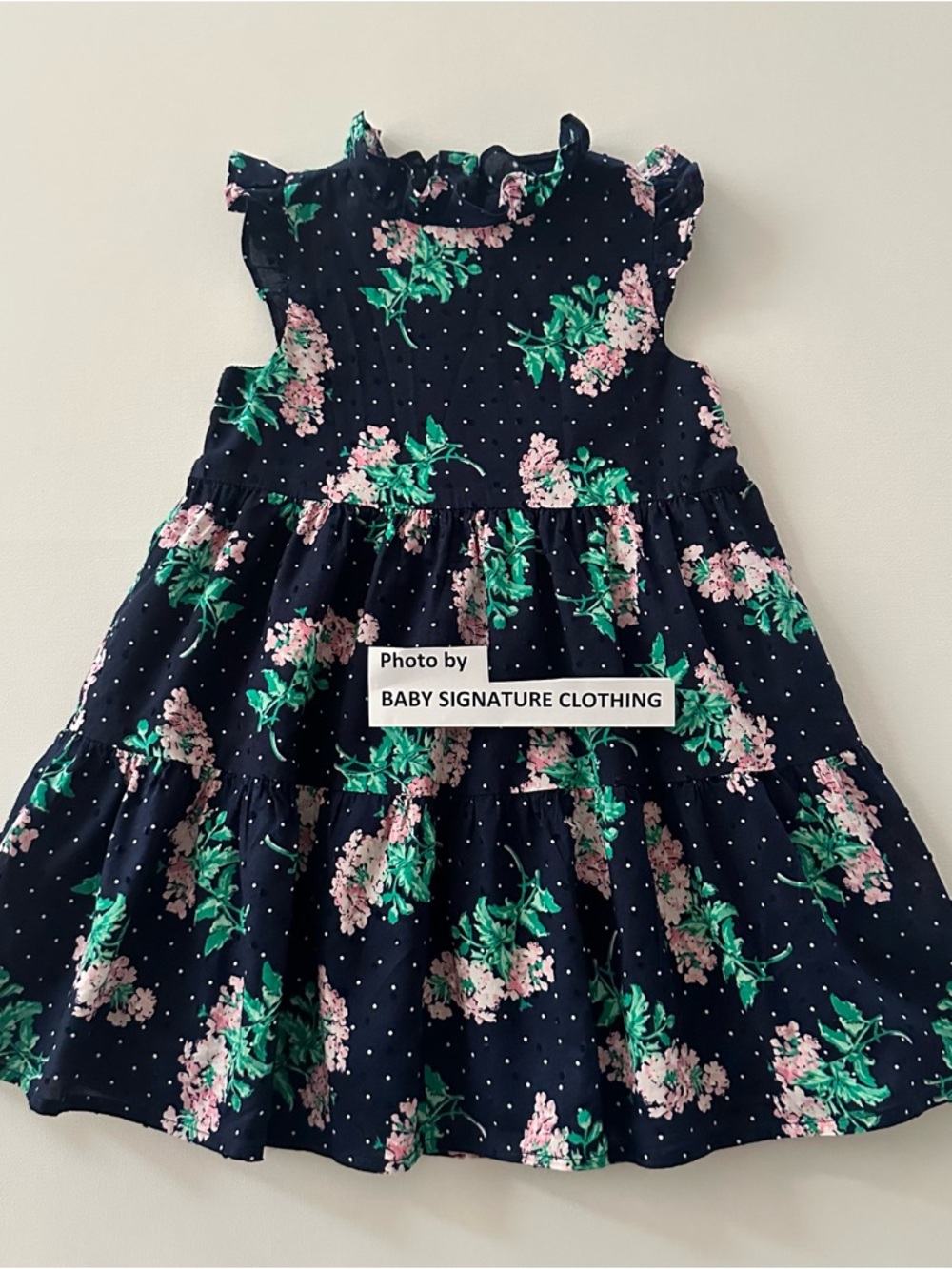 Janie and Jack Girls 4 Navy Pink Green Floral Ruffle Dress Swiss Dot